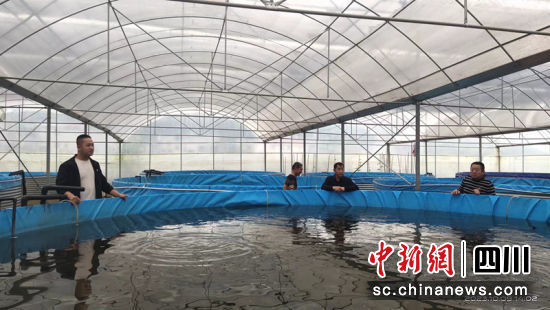 鴨嘴魚。簡陽融媒 供圖 鴨嘴魚。簡陽融媒 供圖