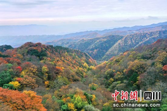 圖為旺蒼米倉山鹽井河峽谷五彩斑斕,如巨幅天然彩色畫卷。苗志勇 攝 圖為旺蒼米倉山鹽井河峽谷五彩斑斕,如巨幅天然彩色畫卷。苗志勇 攝