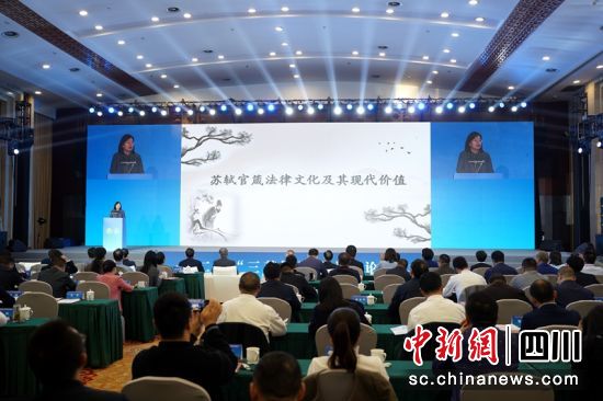 論壇現場。眉山市委政法委供圖 論壇現場。眉山市委政法委供圖