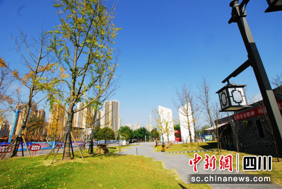 宜賓城市景觀。陳憶 攝 宜賓城市景觀。陳憶 攝