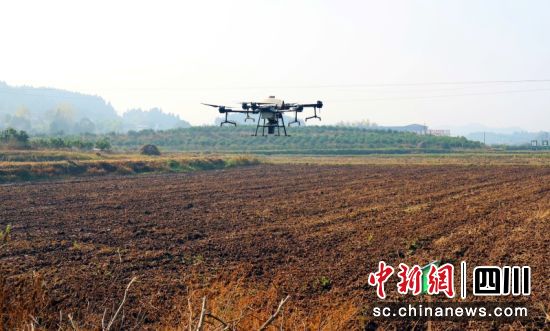 無人機正在進行小麥播種。廖桂華 攝 無人機正在進行小麥播種。廖桂華 攝