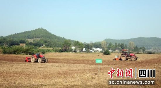 糧王生態農業有限公司種植基地,小麥播種忙。廖桂華 攝 糧王生態農業有限公司種植基地,小麥播種忙。廖桂華 攝
