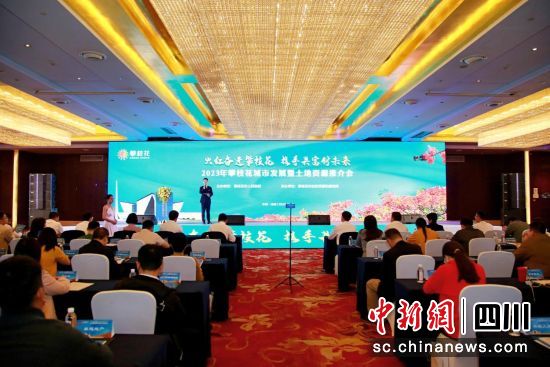會議現(xiàn)場,攀枝花市自然資源和規(guī)劃局供圖 會議現(xiàn)場,攀枝花市自然資源和規(guī)劃局供圖