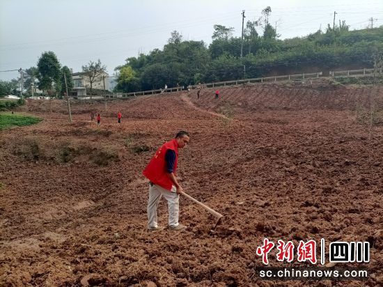 黨員志愿隊(duì)伍翻耕耕作層。楊春燕 攝 黨員志愿隊(duì)伍翻耕耕作層。楊春燕 攝