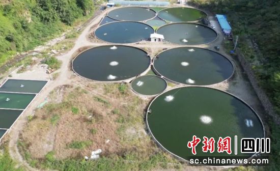 水產基地。漢源縣委統戰部 供圖 水產基地。漢源縣委統戰部 供圖