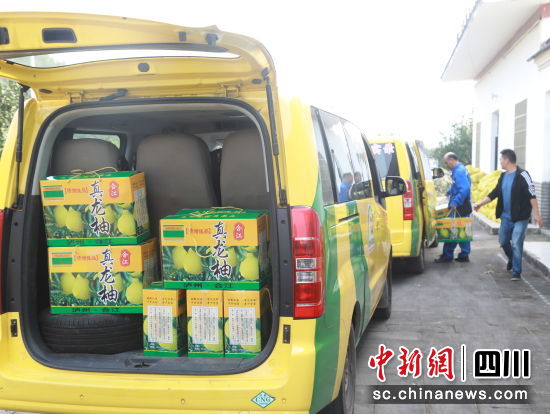 柚子“坐上”小黃車,果農省力又實惠。合江縣融媒體中心供圖 柚子“坐上”小黃車,果農省力又實惠。合江縣融媒體中心供圖