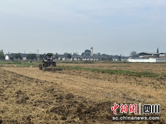 翻土機在田間翻土。 什邡市委宣傳部供圖 翻土機在田間翻土。 什邡市委宣傳部供圖
