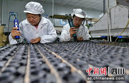 村民忙碌在生產崗位,熟練地進行望遠鏡生產。樊俊 攝 村民忙碌在生產崗位,熟練地進行望遠鏡生產。樊俊 攝