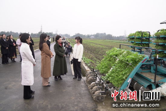 科技興農(nóng)現(xiàn)場參觀體驗(yàn)現(xiàn)場。成都市婦聯(lián) 供圖 科技興農(nóng)現(xiàn)場參觀體驗(yàn)現(xiàn)場。成都市婦聯(lián) 供圖