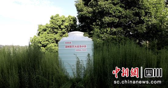 遍布林區的蓄水桶。 但悅平 攝 遍布林區的蓄水桶。 但悅平 攝