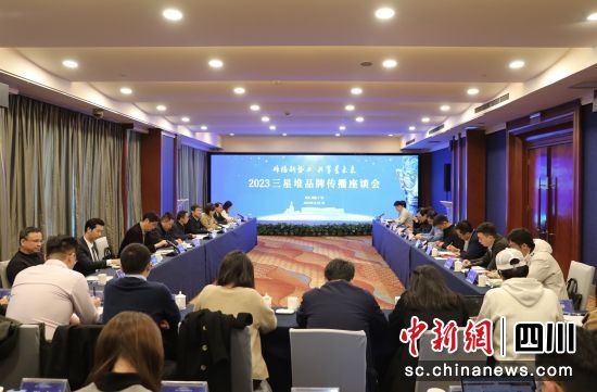 會議現場。 德陽市委宣傳部供圖 會議現場。 德陽市委宣傳部供圖