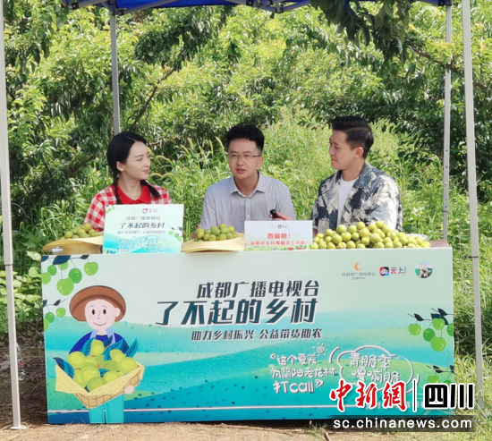 助農直播帶貨。 簡陽市委組織部 供圖 助農直播帶貨。 簡陽市委組織部 供圖