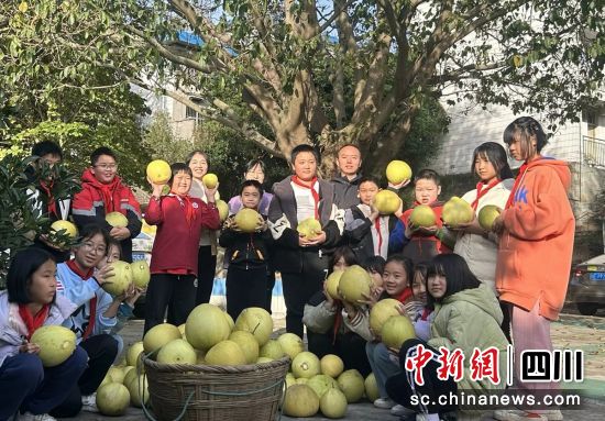 學(xué)校采摘活動留影。自流井融媒 供圖 學(xué)校采摘活動留影。自流井融媒 供圖