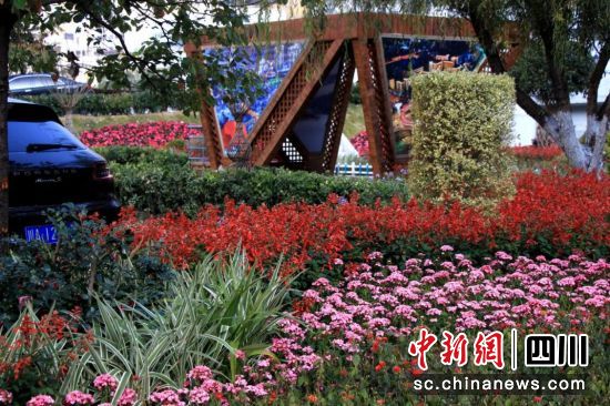 汶川公園綠地花海如潮。汶川縣委宣傳部 供圖 汶川公園綠地花海如潮。汶川縣委宣傳部 供圖