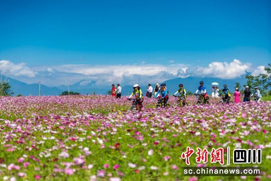 溫江汪家灣花海騎行。溫江區委宣傳部供圖 溫江汪家灣花海騎行。溫江區委宣傳部供圖