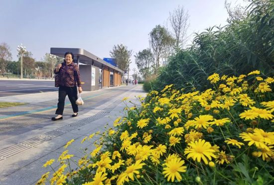 圖為雙流區居民走在鮮花盛開的道路上。屠者攝 圖為雙流區居民走在鮮花盛開的道路上。屠者攝