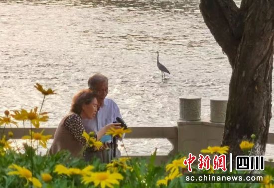 圖為雙流區老年人的幸福生活。屠者攝 圖為雙流區老年人的幸福生活。屠者攝
