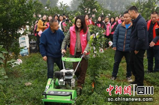 培訓現場。蒲江縣婦聯 供圖 培訓現場。蒲江縣婦聯 供圖