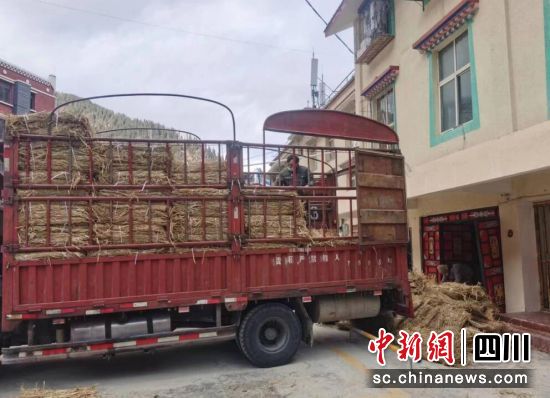 儲備防滑草墊。壤塘縣委宣傳部 供圖 儲備防滑草墊。壤塘縣委宣傳部 供圖