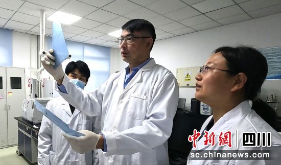 艾慶輝團隊分析魚體代謝相關通路變化。(通威供圖) 艾慶輝團隊分析魚體代謝相關通路變化。(通威供圖)