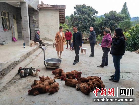 上門收購(gòu)農(nóng)副產(chǎn)品。 梓潼縣融媒體中心供圖 上門收購(gòu)農(nóng)副產(chǎn)品。 梓潼縣融媒體中心供圖