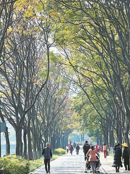 昨日的成都艷陽高照,市民在東湖公園休閑散步 昨日的成都艷陽高照,市民在東湖公園休閑散步