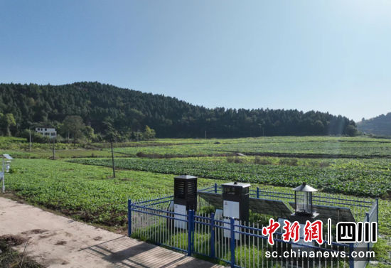高坡村智慧農場綜合監測站 。 簡陽市委宣傳部 供圖 高坡村智慧農場綜合監測站 。 簡陽市委宣傳部 供圖