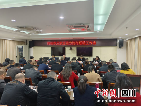 簡陽市反家暴聯盟成立現場。吳平華 攝 簡陽市反家暴聯盟成立現場。吳平華 攝