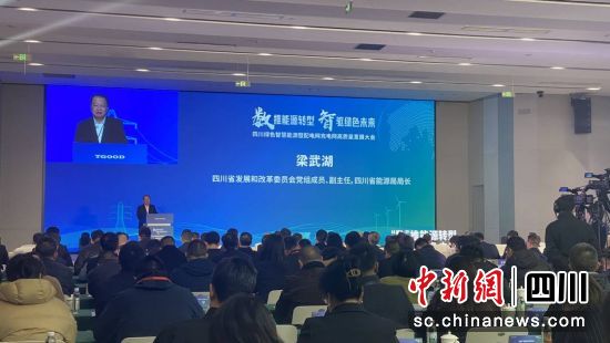 圖為大會現場。雙流區 供圖 圖為大會現場。雙流區 供圖