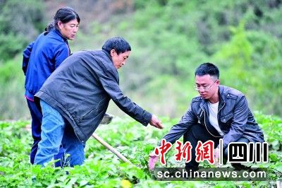 在汶川縣漩口鎮小麻溪村,四川農業大學農藝和種業專業碩士畢業生林鄲(右)指導村民科學播種。汶川縣委宣傳部 供圖 在汶川縣漩口鎮小麻溪村,四川農業大學農藝和種業專業碩士畢業生林鄲(右)指導村民科學播種。汶川縣委宣傳部 供圖