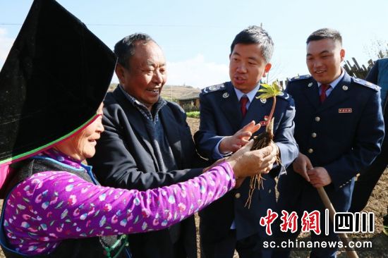 “笮稅先鋒”志愿服務隊深入田間地頭向中藥材種植農戶問計問需。四川稅務供圖 “笮稅先鋒”志愿服務隊深入田間地頭向中藥材種植農戶問計問需。四川稅務供圖