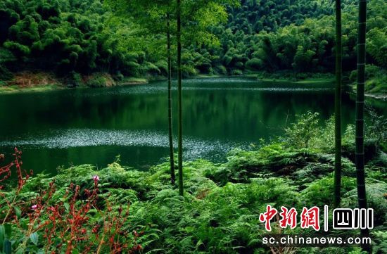 壽山湖生態研學區。蜀南文旅集團 供圖 壽山湖生態研學區。蜀南文旅集團 供圖