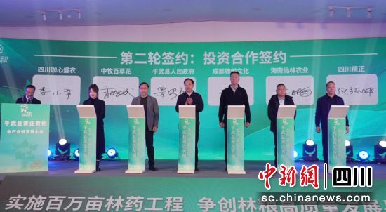簽約儀式。 平武縣委宣傳部供圖 簽約儀式。 平武縣委宣傳部供圖