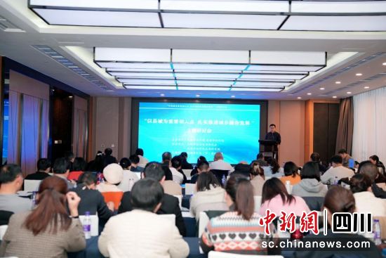 研討會現場。成都市社科聯(院)供圖 研討會現場。成都市社科聯(院)供圖