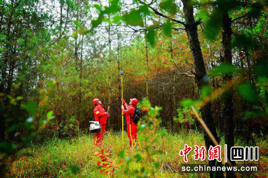 物探隊員正在密林深處施工作業(yè)。劉天狐 攝 物探隊員正在密林深處施工作業(yè)。劉天狐 攝