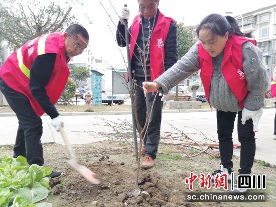 志愿者們正在植樹(shù)。 什邡市方亭街道供圖 志愿者們正在植樹(shù)。 什邡市方亭街道供圖