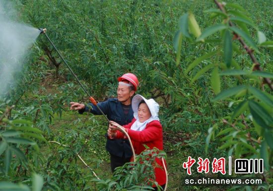 村民們正在噴灑防凍液。衡歡 攝 村民們正在噴灑防凍液。衡歡 攝