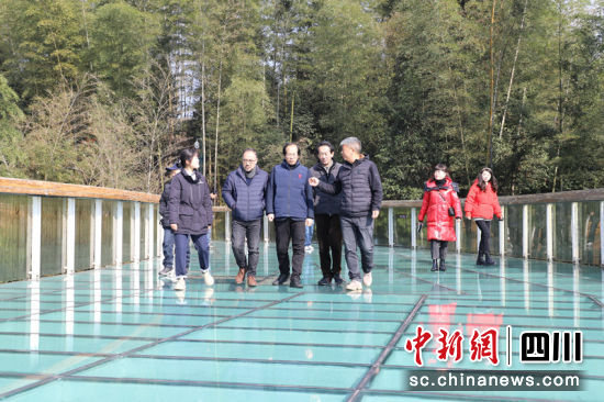 嘉賓們?cè)谑衲现窈B糜味燃賲^(qū),感受萬(wàn)頃竹海的浩渺。寧融 攝 嘉賓們?cè)谑衲现窈B糜味燃賲^(qū),感受萬(wàn)頃竹海的浩渺。寧融 攝