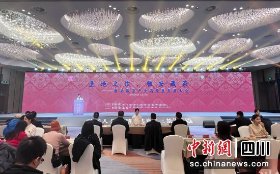 會議現場。雨城融媒 供圖 會議現場。雨城融媒 供圖