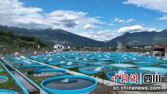在養(yǎng)殖區(qū)內(nèi),一百余個(gè)藍(lán)色魚池排列整齊。中鐵八局七公司 供圖 在養(yǎng)殖區(qū)內(nèi),一百余個(gè)藍(lán)色魚池排列整齊。中鐵八局七公司 供圖