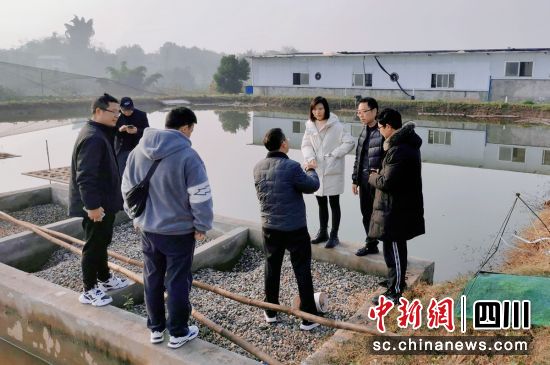 ^W(xu)(x)F(xin)(chng)ؕý D