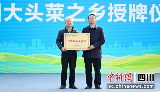 授牌現場。貢井融媒 供圖 授牌現場。貢井融媒 供圖