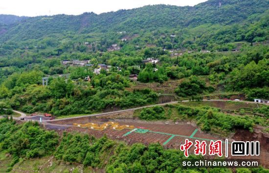 漩口鎮吊瓜基地(航拍)。汶川縣委宣傳部 供圖 漩口鎮吊瓜基地(航拍)。汶川縣委宣傳部 供圖