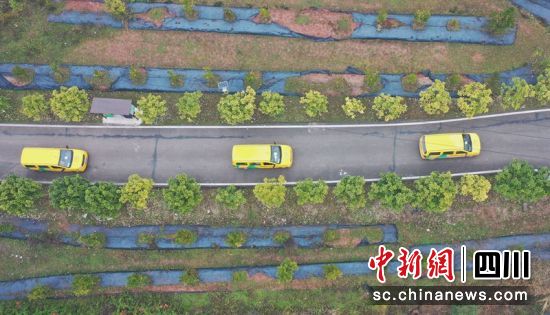 三輛“金通工程”農村客運車正行駛在公路上。周亮攝 三輛“金通工程”農村客運車正行駛在公路上。周亮攝