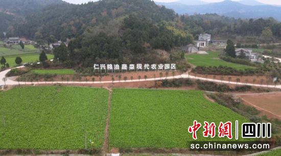 仁興糧油蔬菜現(xiàn)代農(nóng)業(yè)園區(qū)。 梓潼縣融媒體中心供圖 仁興糧油蔬菜現(xiàn)代農(nóng)業(yè)園區(qū)。 梓潼縣融媒體中心供圖