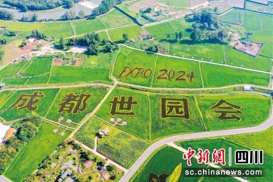 成都世園會郫都分會場。郫都區融媒體中心 供圖 成都世園會郫都分會場。郫都區融媒體中心 供圖