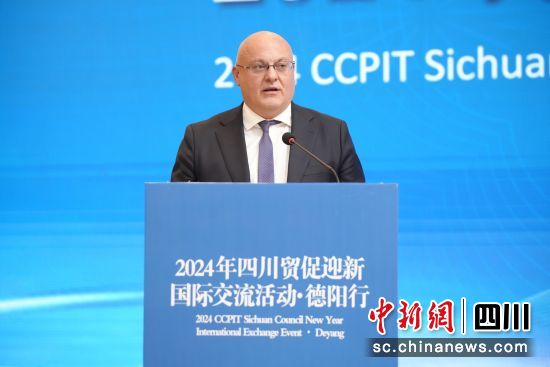 中國歐盟商會全國副主席、西南分會主席馬曉利做交流發言。(四川省貿促會 供圖) 中國歐盟商會全國副主席、西南分會主席馬曉利做交流發言。(四川省貿促會 供圖)