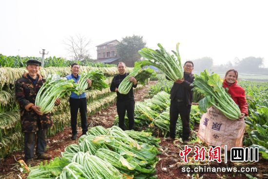 喜獲豐收。葉昌榮 攝 喜獲豐收。葉昌榮 攝