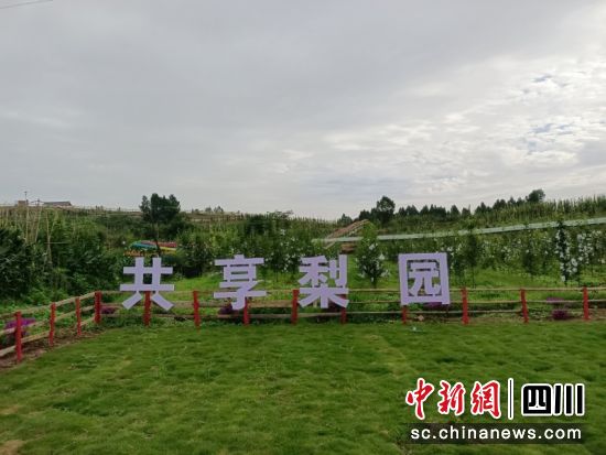 共享梨園。侯佩茹 攝 共享梨園。侯佩茹 攝