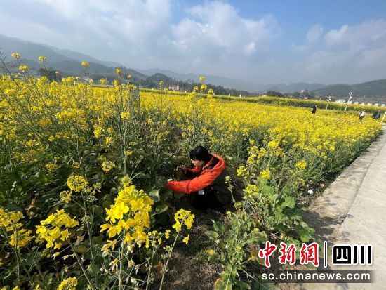 將金融服務(wù)帶到田間地頭。平安產(chǎn)險(xiǎn)川分 供圖 將金融服務(wù)帶到田間地頭。平安產(chǎn)險(xiǎn)川分 供圖